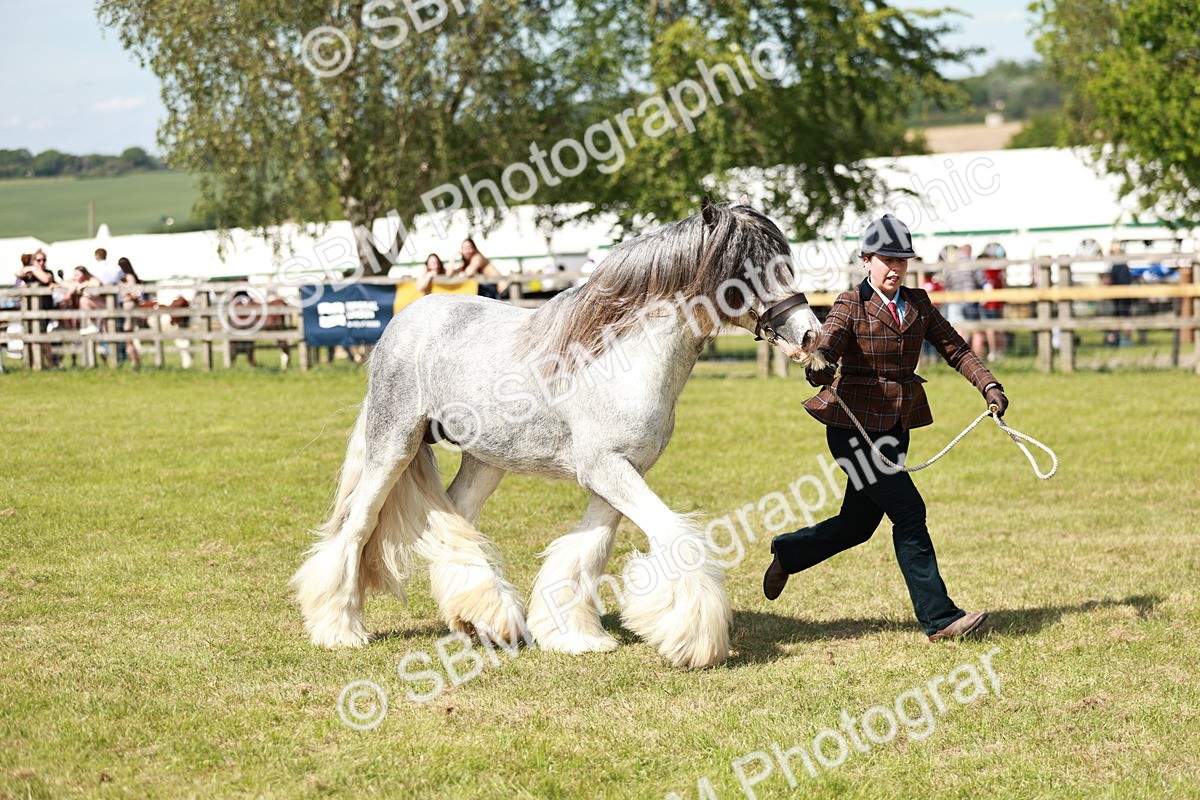 SBM_08578 - Class 63-65 - Traditional Gypsy Cobs In Hand & Ridden