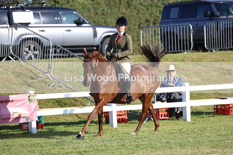 3E7A5073 - Class 1: Rising Star Small Hack/Riding Horses