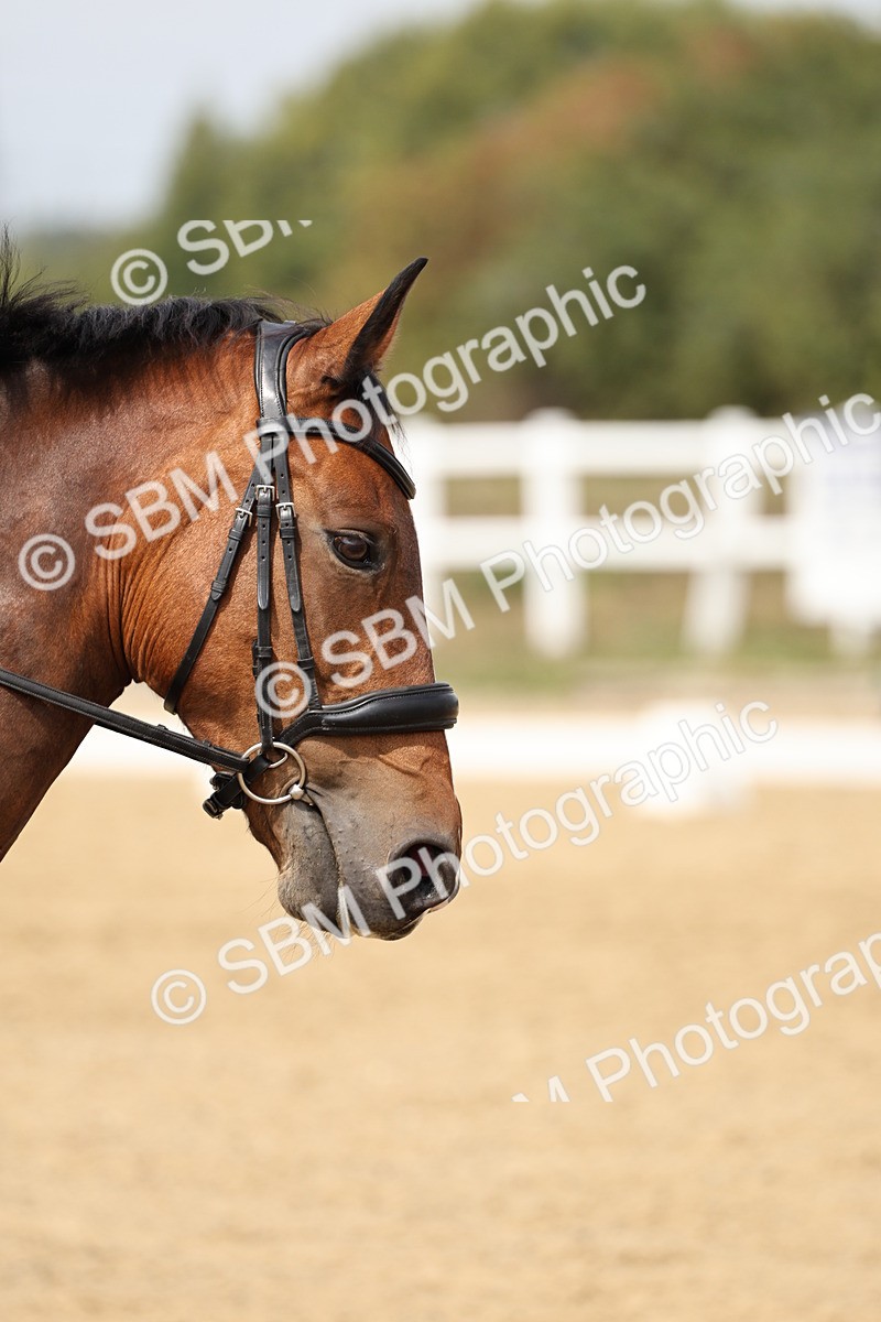 SBM_013190 - Class 3 - Novice 4 - 11.43-12.25