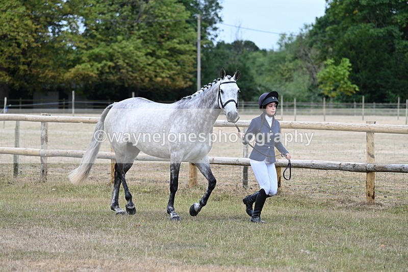 WJ7_8710 - Class 4a Prettiest Mare 14.2hh and over