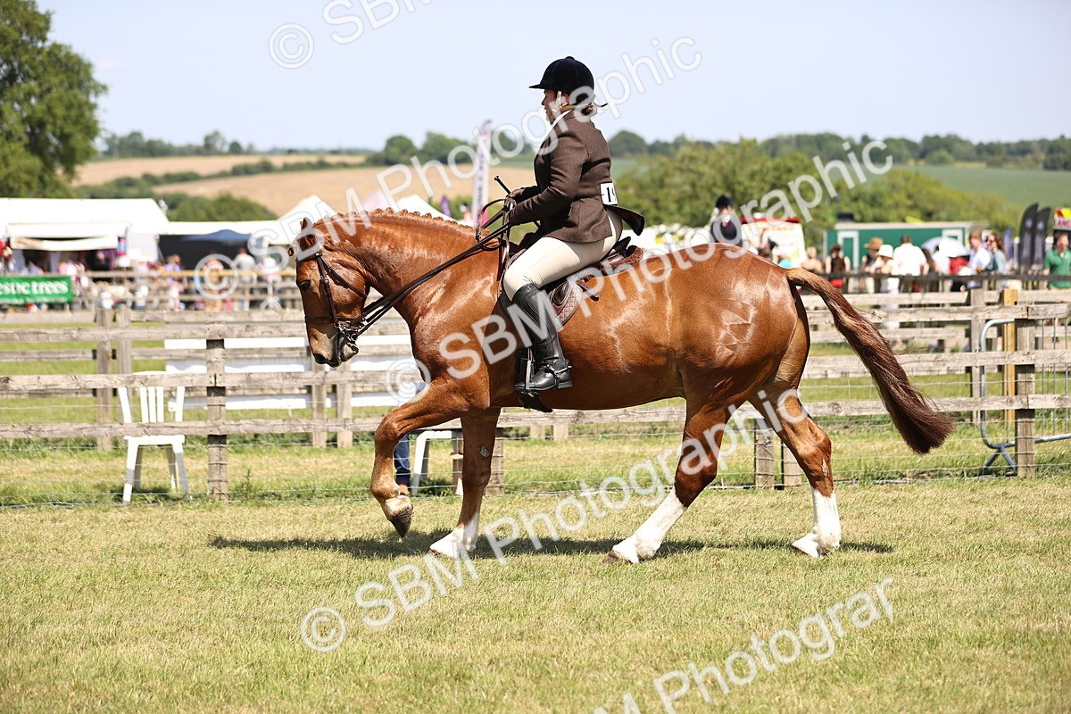 SBM_17732 - Class 81-83 - TSR Ridden Amateur of the Year - Horses