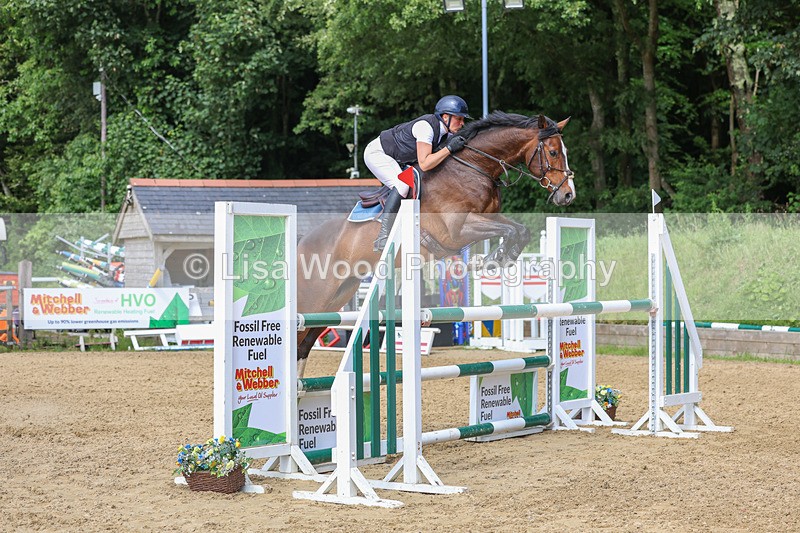 3E7A7610 - Class 9: Senior Foxhunter/1.20 open