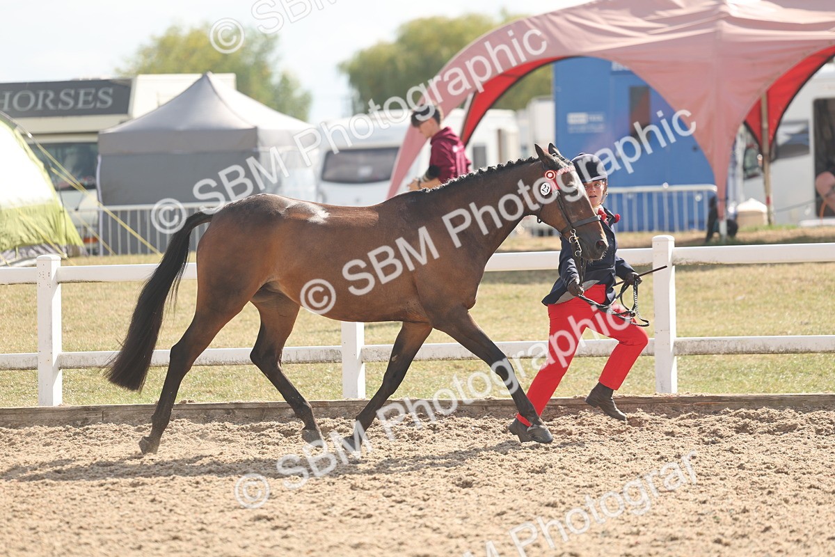 SBM_06854 - Class 25 - IH Foreign Breeds - Purebred