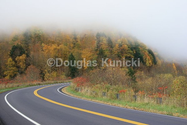  - Fall and Winter