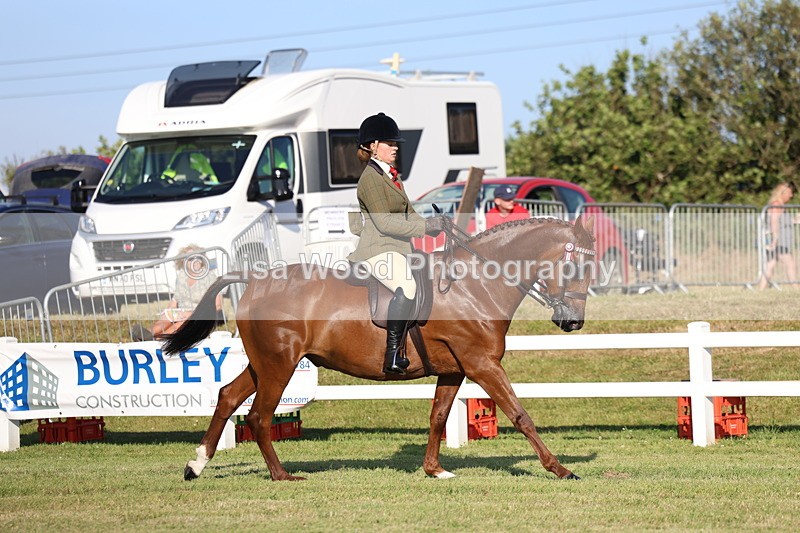 3E7A4961 - Class 1: Rising Star Small Hack/Riding Horses