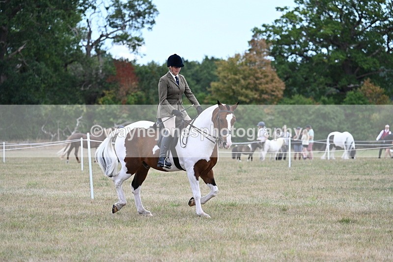 WJ7_5170 - Class 12 Ridden Cob