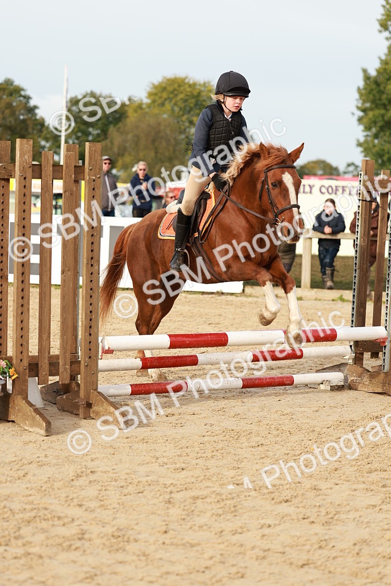 SBM_55660 - J11 - Junior Pony 50cm Championship