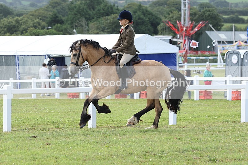 JPP_0820 - Class 16: Cornish Combination Young Rider