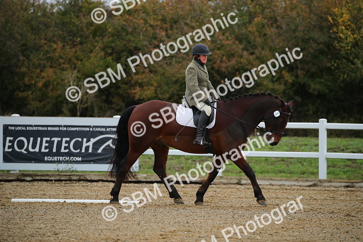 SBM_000390 - Intro 2