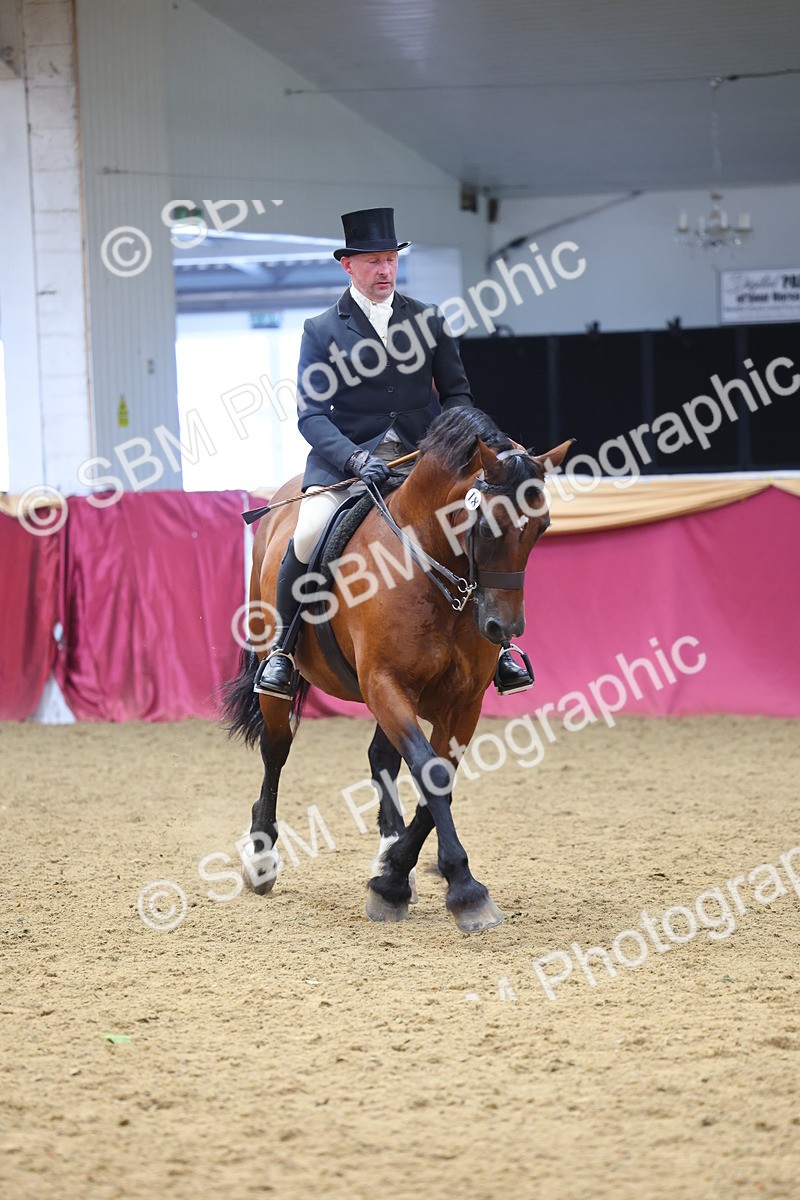 SBM_24437 - Class 906 - Supreme Final - Ridden Pre Vet