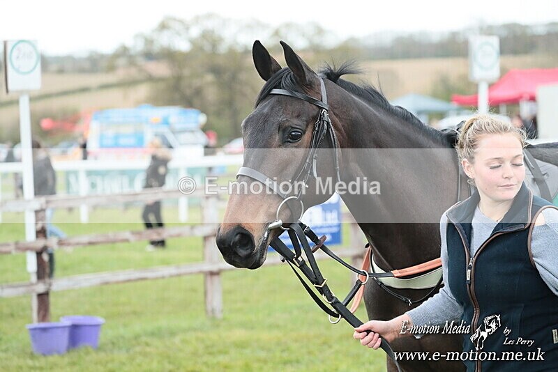 PtP 130425 330 - Edgecote Races 13/04/25