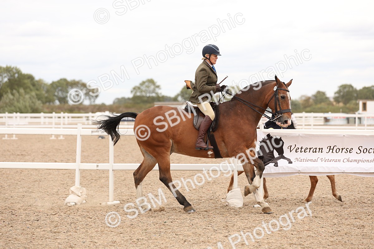 SBM_19546 - Class 215 - Ridden Show cob