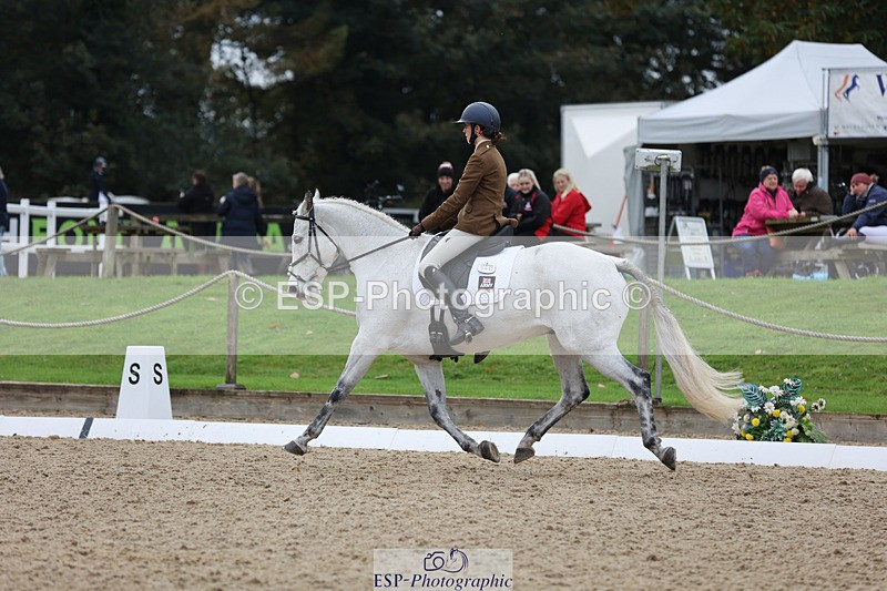 241024-142252-03828 - 162-Charlotte.Keers-WESTERN.OCALA