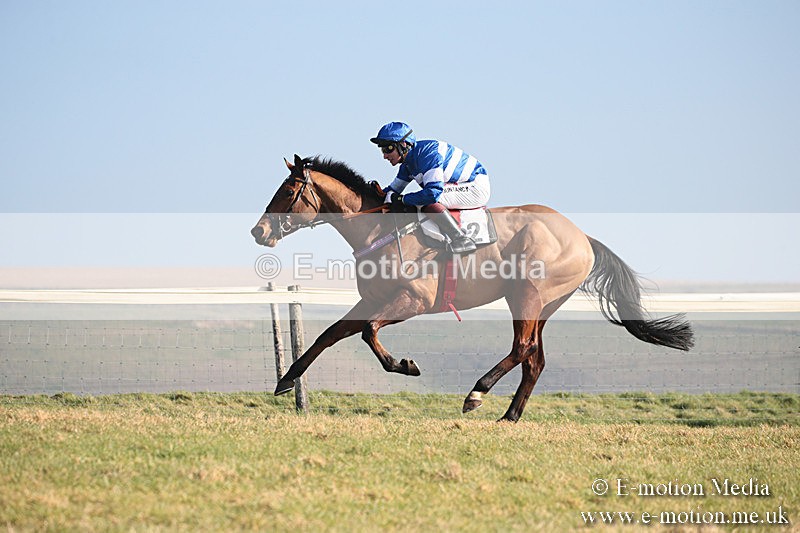 PtP 230219 119 - Vine & Craven Point-To-Point - Barbury 23/02/19