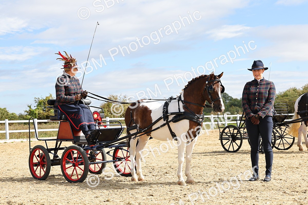 SBM_000944 - Class 8 - Novice Horse or Pony to any vehicle