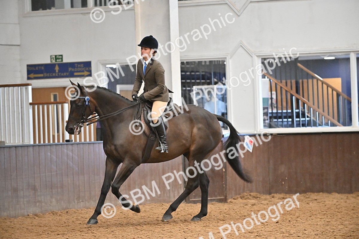 SBM_002357 - Class 22 - BSHA Ridden Hack & Riding Horse