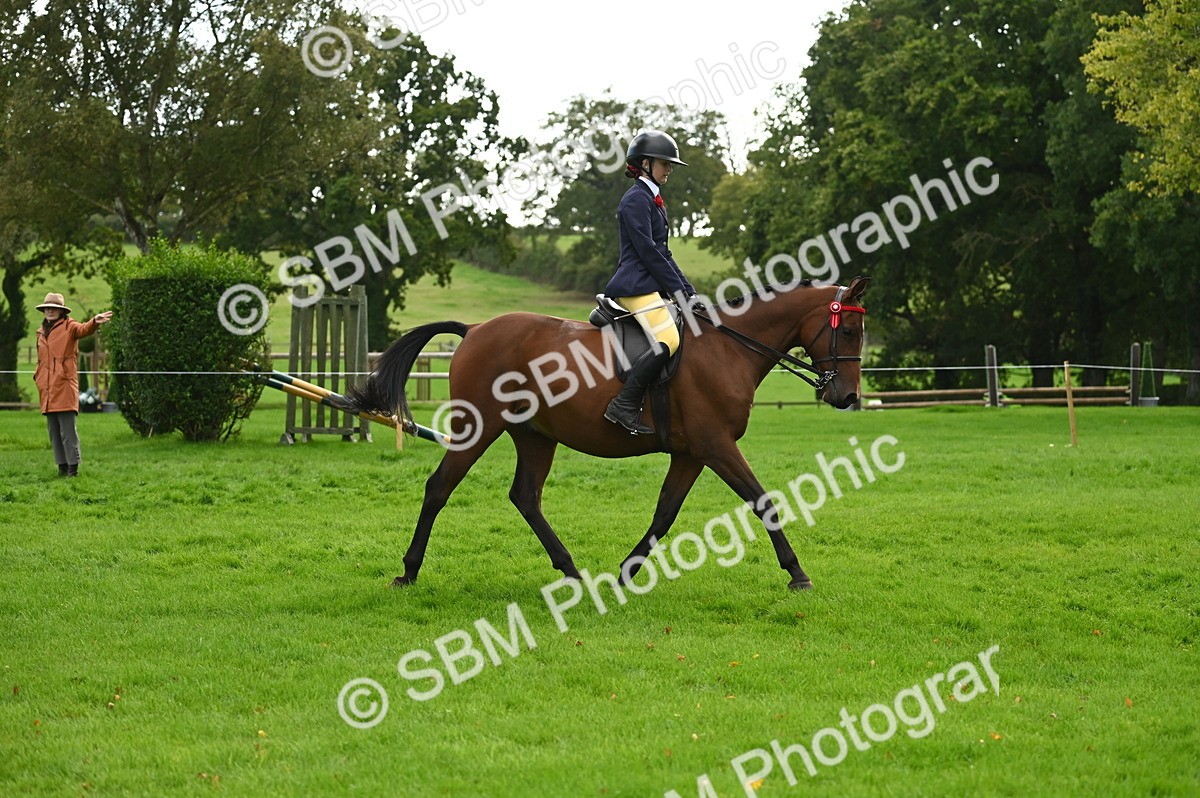SBM_26340 - S6 - Novice & newcomer Ridden horse
