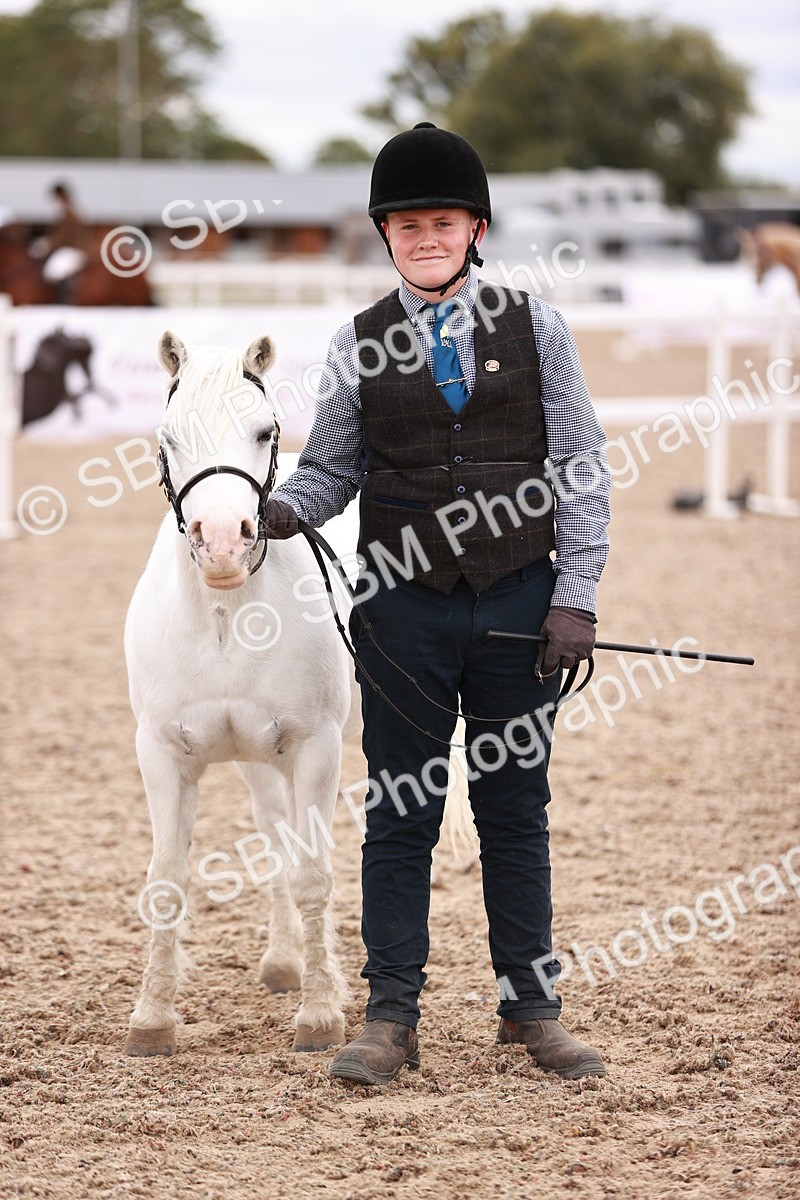 SBM_18486 - Class 420 - Ridden M&M