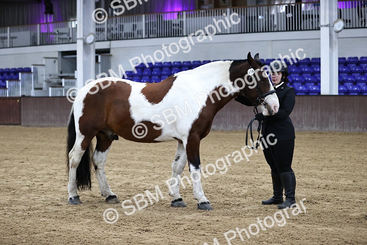 SBM_5289 - Class 32 - In Hand Cob Type