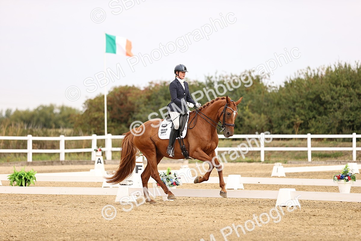 SBM_011654 - Class 1 - Medium 5