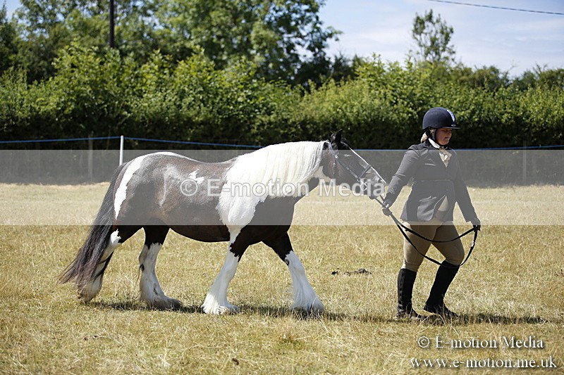 _C7A9988 - BVRC Show 2018 Ring 1