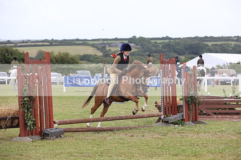 JPP_1757 - Class 18: Tiny Tots Working Hunter Pony