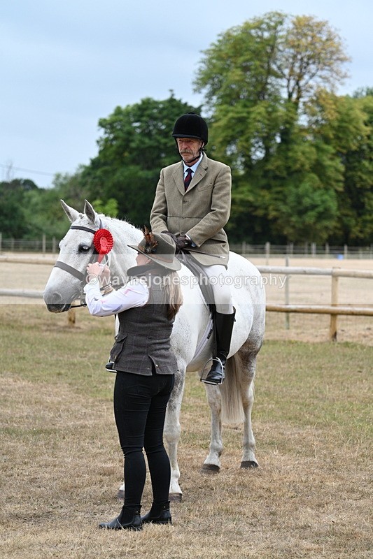 WJ7_0968 - Class 7 Riding Club Show Horse