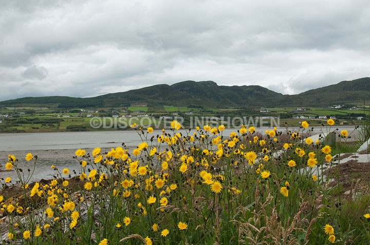 At Isle of Doagh - Nature