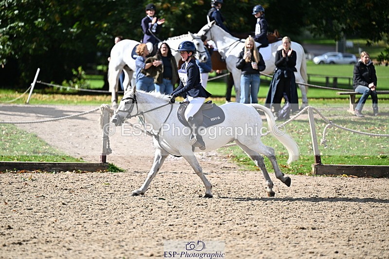 251005A-140526-04281 - Cls 09 Nov 80-85cm