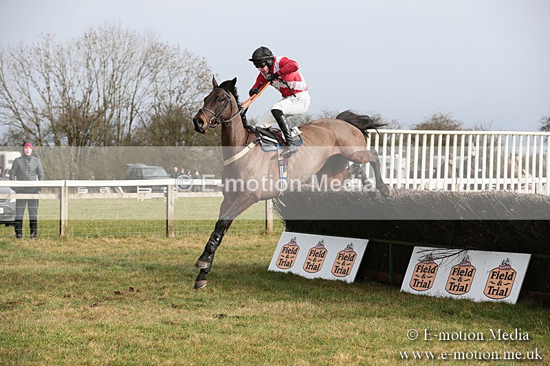 PtP 270119 134 - Cocklebarrow Races 27/01/19