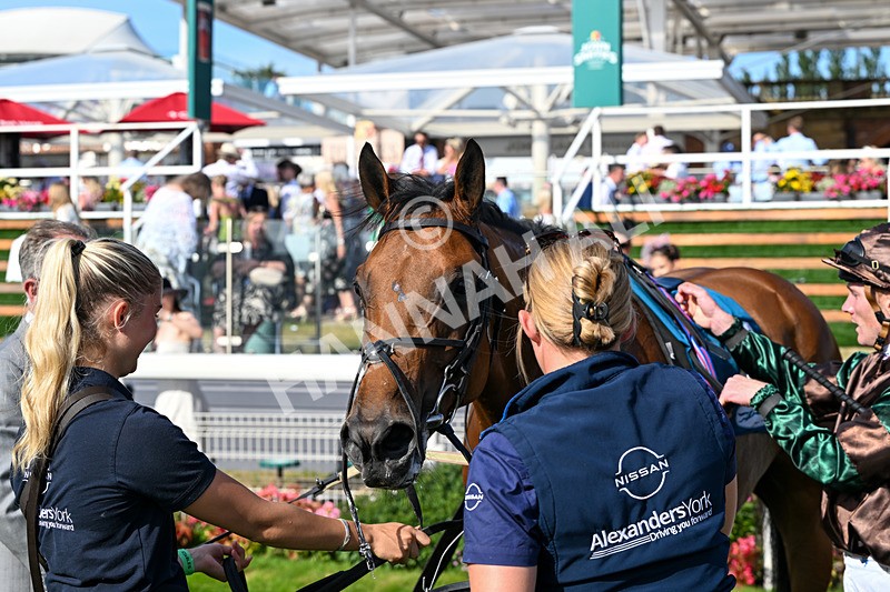 110726-Race 7-Magic Boy-8877 - Race 7 17.30pm John Smith's Sprint Handicap