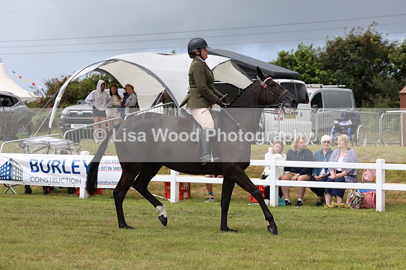 3E7A0885 - Class 8: Open Riding Horse/Hack