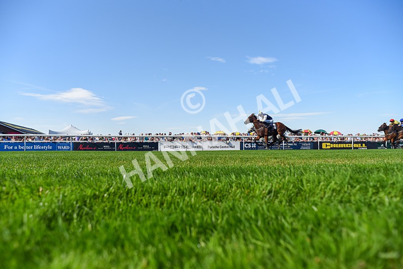 120826-Race 5-Ciao Capo-6454 - Race 5 16.15pm Cayenne Electric At Porsche Centre Hull Handicap