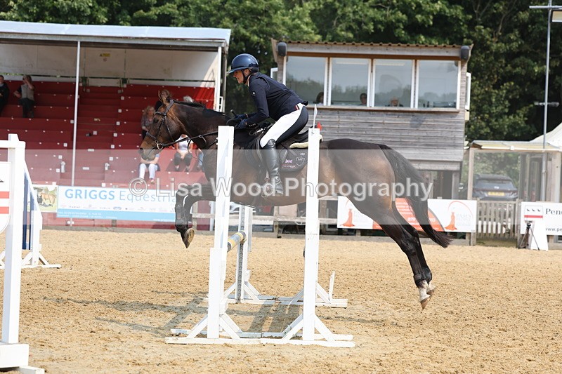 3E7A1605 - Class 4: Senior British Novice/90cm open