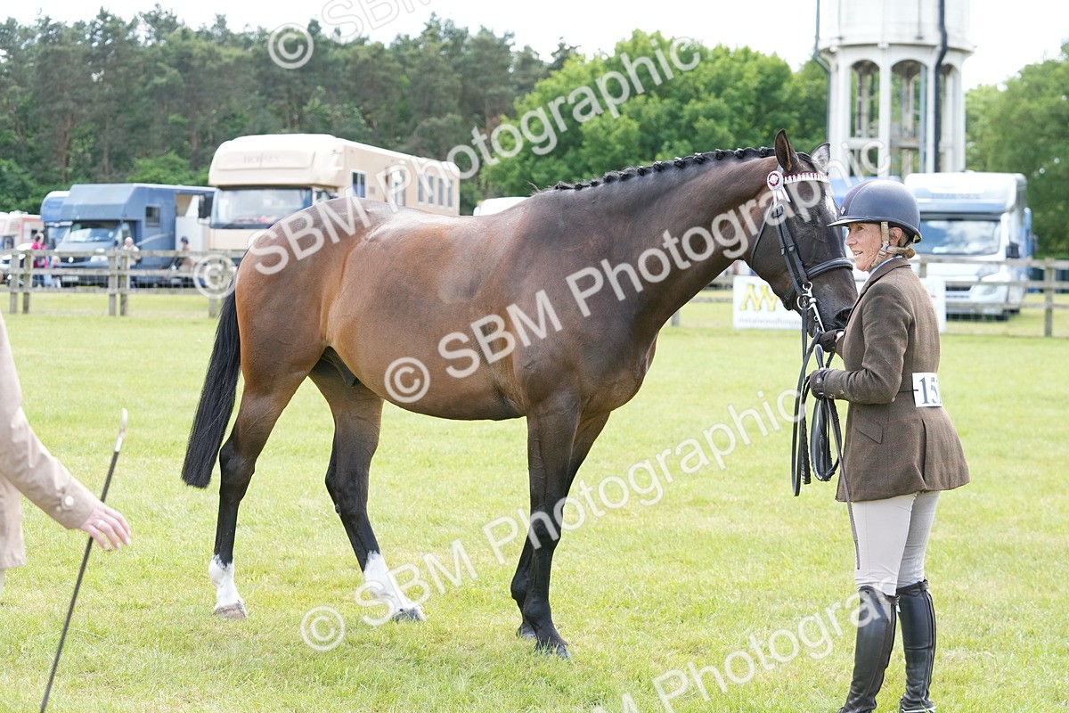 SBM_16255 - Class 105-106 - RIHS Riding Horses