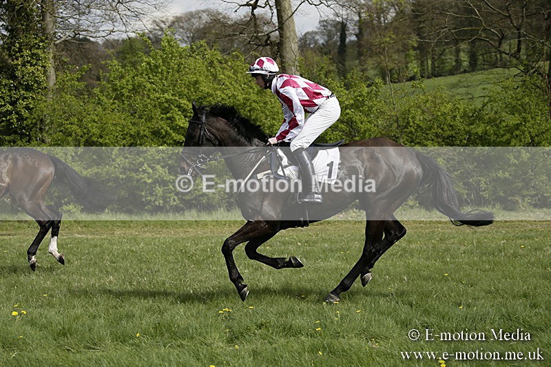 PtP 170417 248 - Old Berks Point-to-Point Lockinge 17/04/17