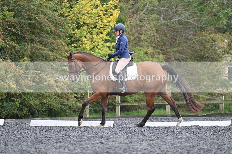 WJ7_4355 - Time 11:43 to 12:09