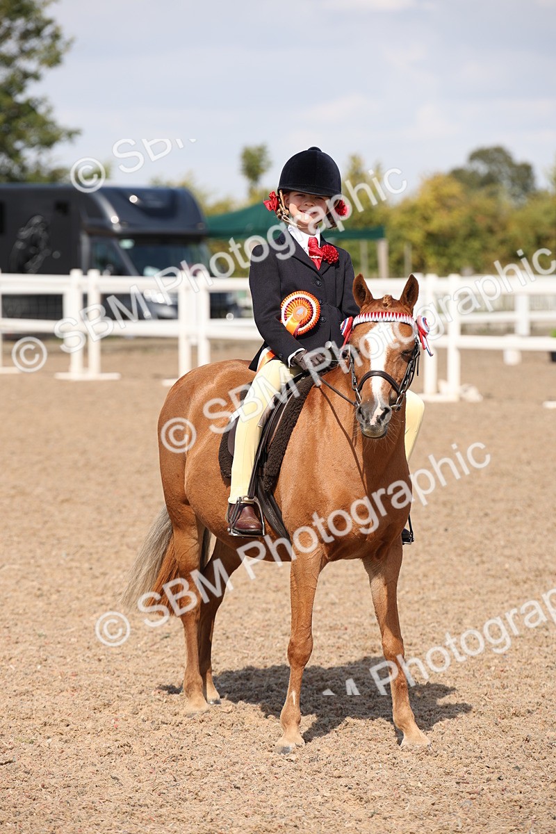 SBM_03080 - Class 17 Prettiest Mare IH or Ridden