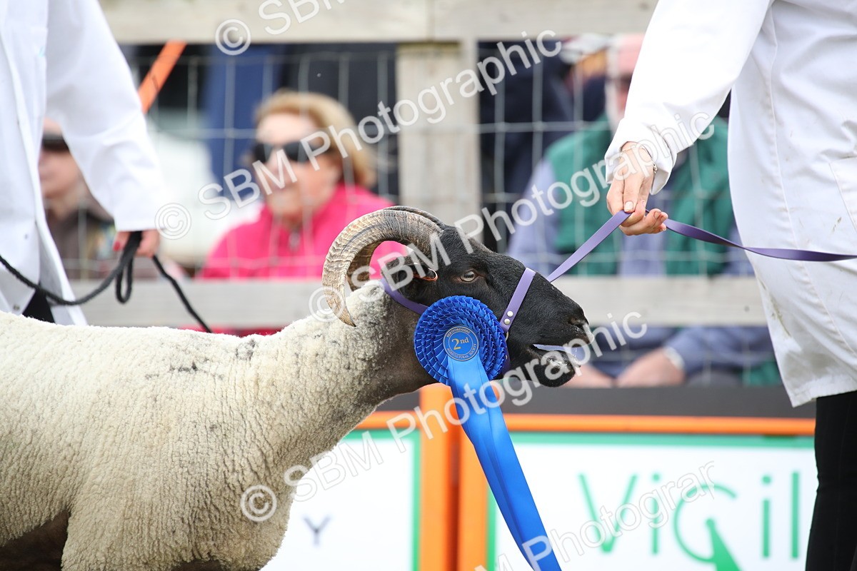 SBM_07783 - Grand Parade