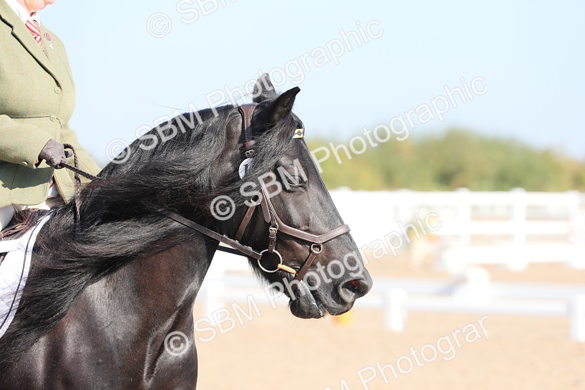 SBM_02421 - Class 30 Intro 1