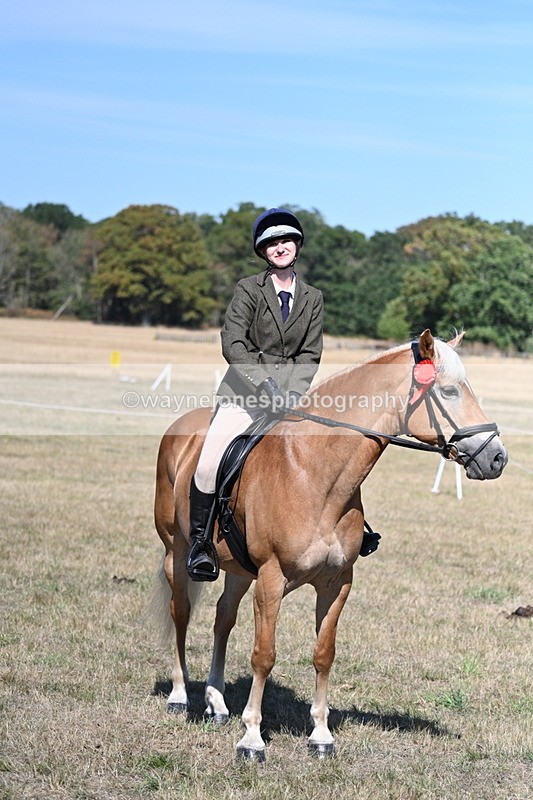 WJ7_1330 - Class 41 Prettiest Mare
