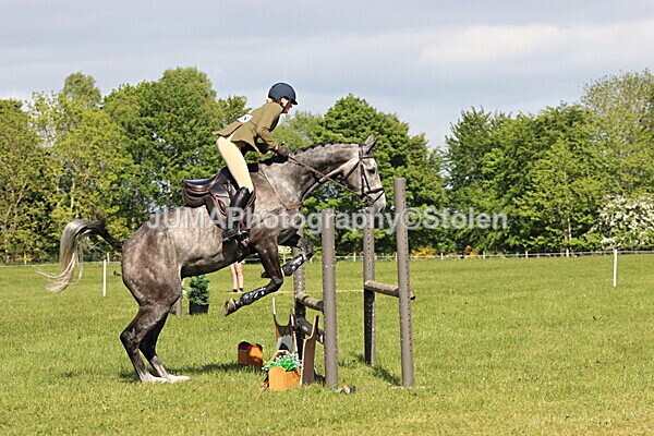 IMG_4847 - Working Hunter