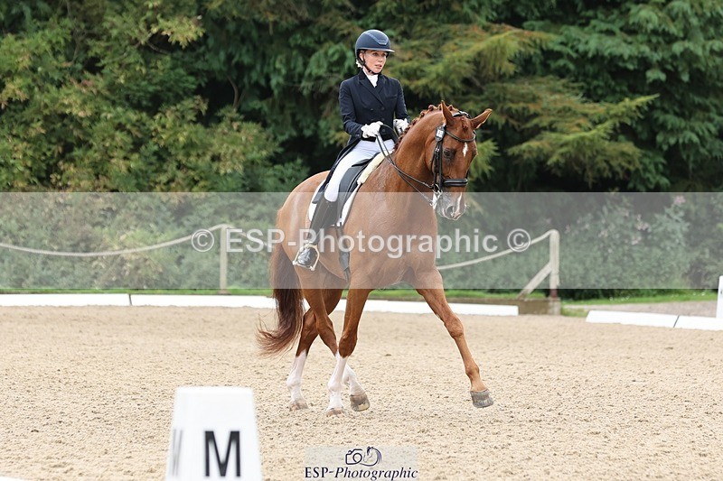 240810-133125-03329 - 188-Amanda.Towle.Shaw-Rockwood.Virtue