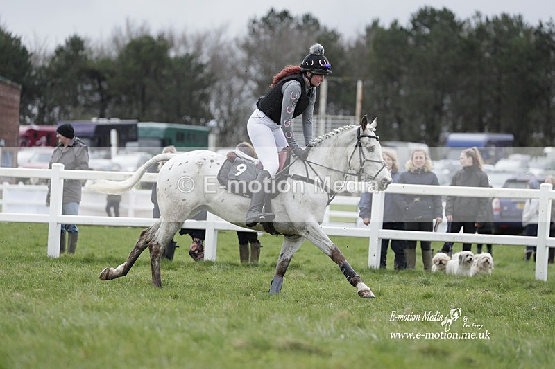 PtP 260323 0248 - New Forest Hounds Point-to-Point Larkhill 26/03/23