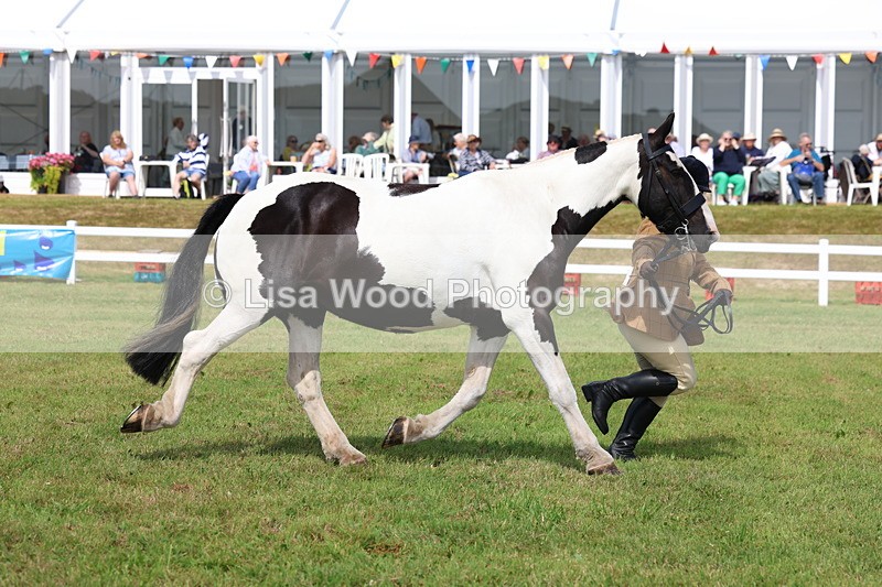 3E7A0061 - Class 5: Rising Star Lightweight/Heavyweight Cobs