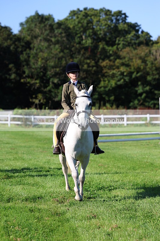 3E7A7517 - Class 1: Novice Working Hunter Pony