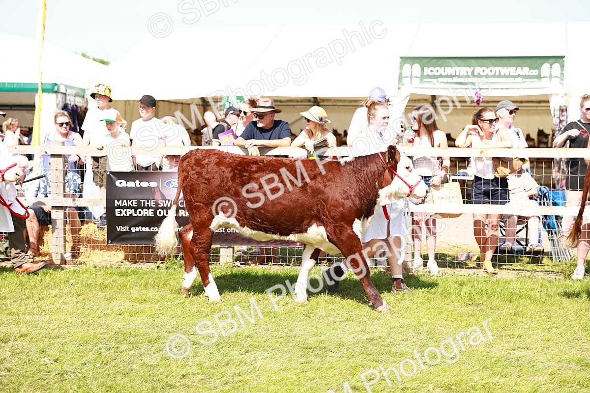 SBM_08375 - Grand Parade