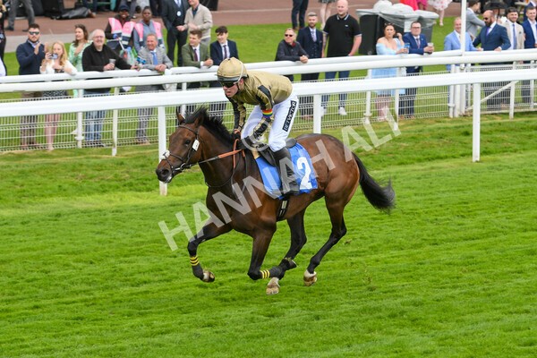 yr11062022r1-144 - Race 1 12.45pm Macmillan Ride of Their Lives, supported by Sky Bet
