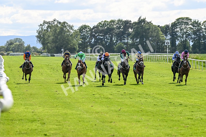 060625-Race 8-Arabian Cobra-5676 - Race 8