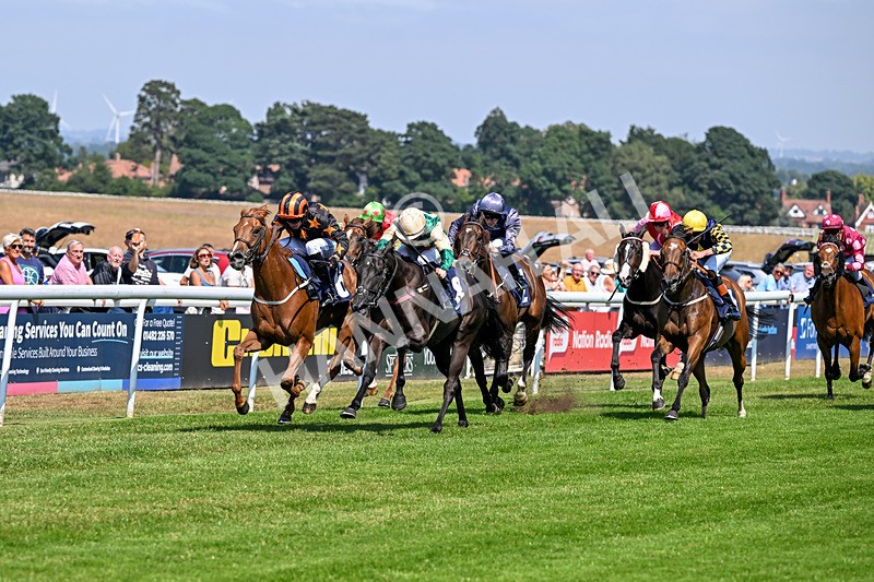 140726-Race 2-What A Tahoo-9752 - Race 2 14.47pm Young Guns Handicap